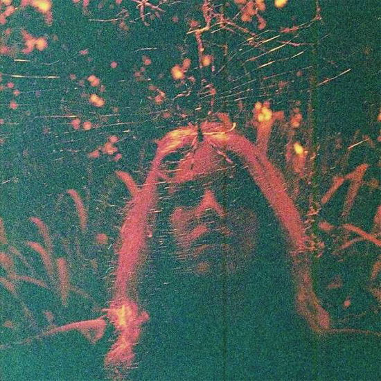 Turnover Peripheral Vision cover art