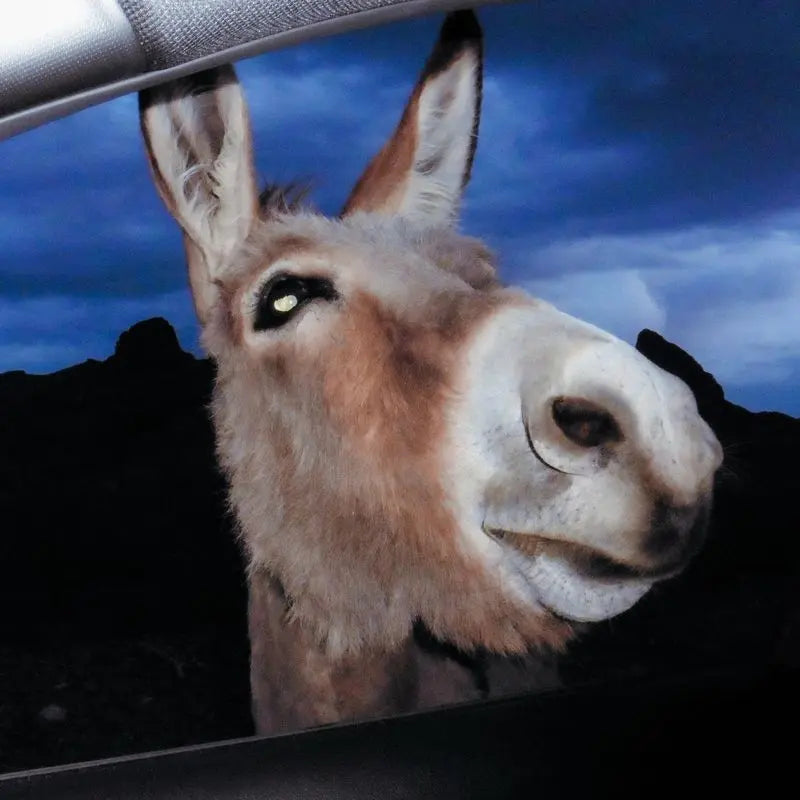 Superworld "Super World" LP