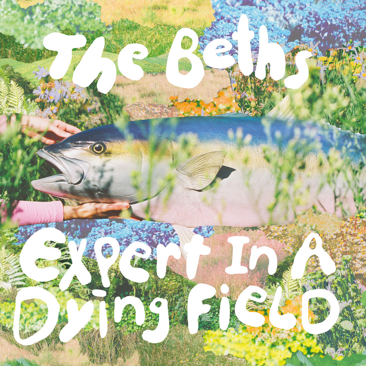 Beths, The "Expert In A Dying Field" LP