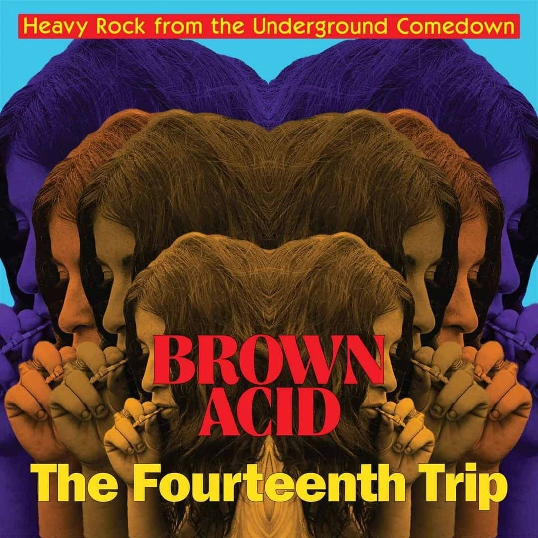 V/A "Brown Acid: The Fourteenth Trip" LP