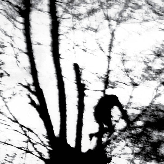 Cindytalk "Camouflage Heart" LP