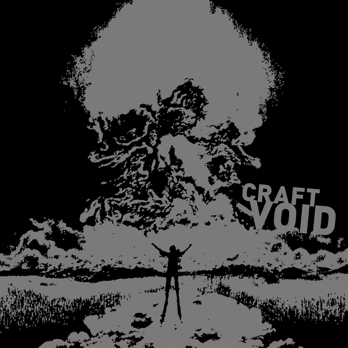 Craft "Void" 2xLP