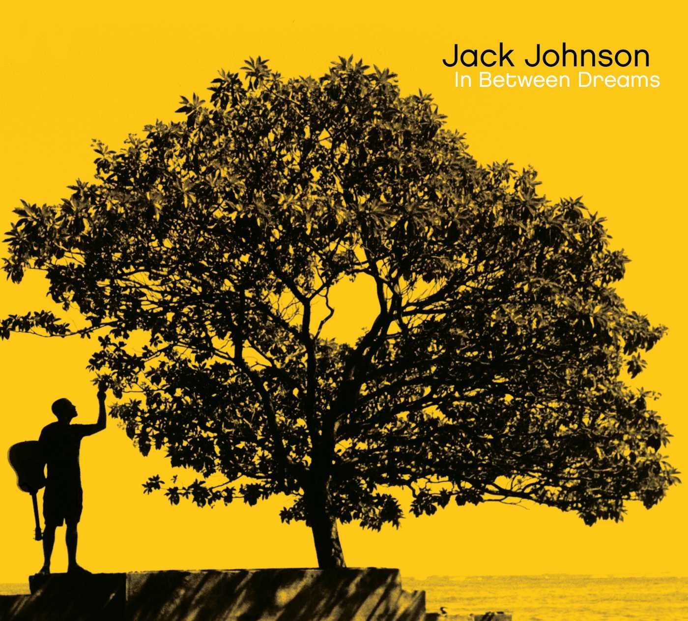 Jack Johnson "In Between Dreams" LP