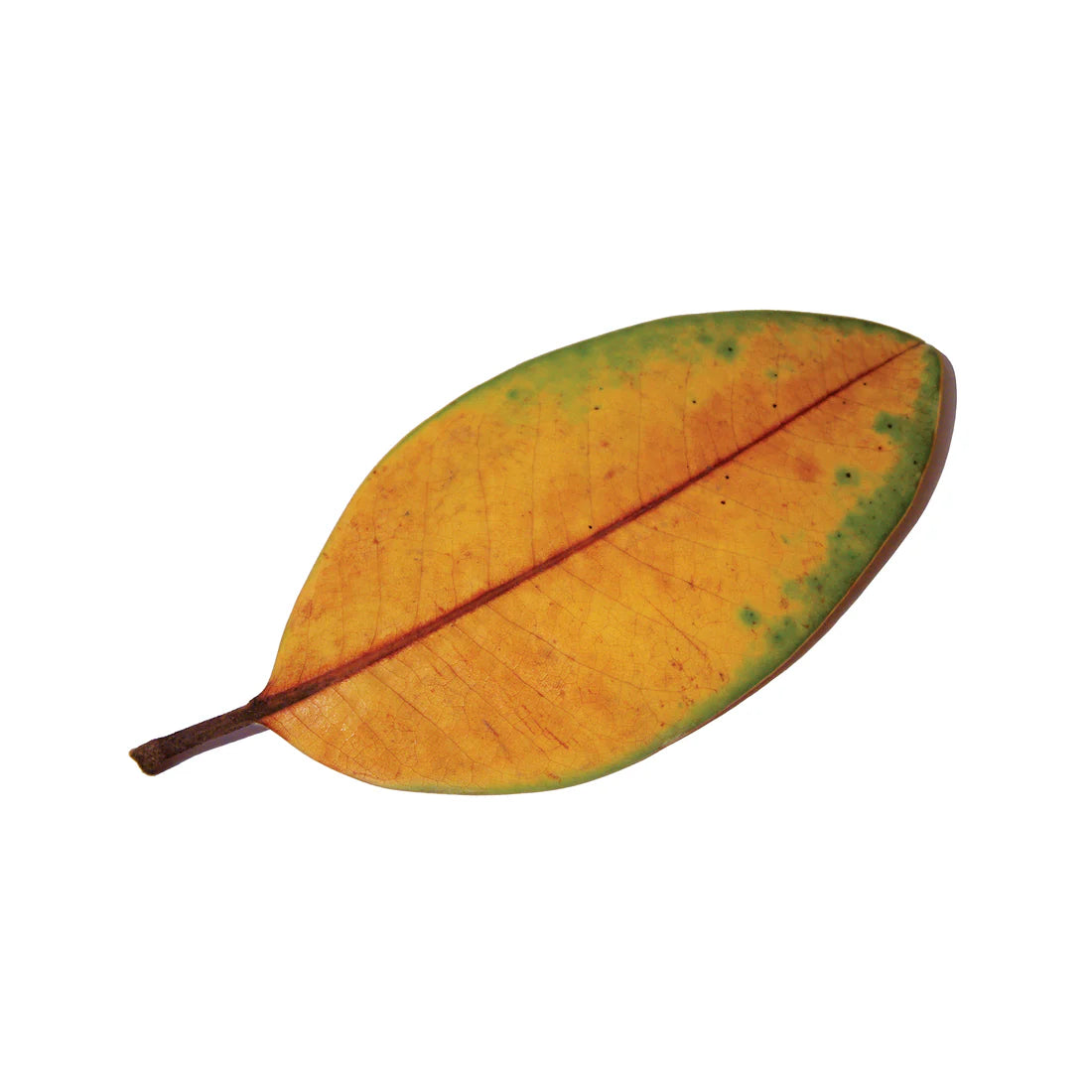 La Quiete "La Fine Non è La Fine" LP