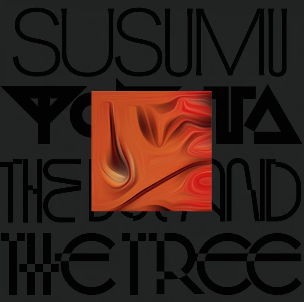 Susumu Yokota "The Boy And The Tree" 2xLP