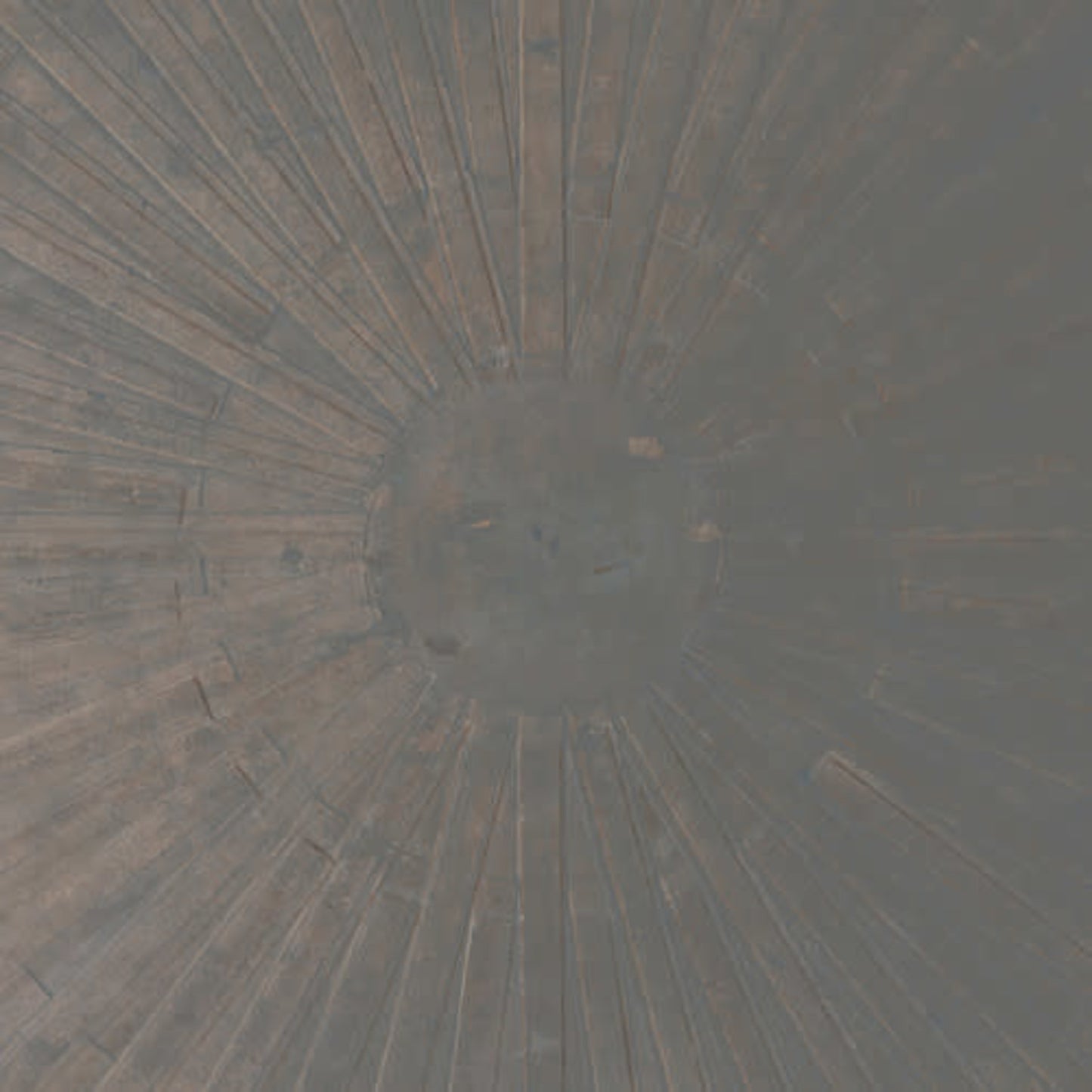 William Basinski and Lawrence English "Selva Oscura" LP