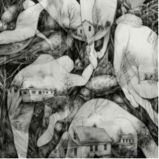 Mono "Rays of Darkness" LP - Dead Tank Records