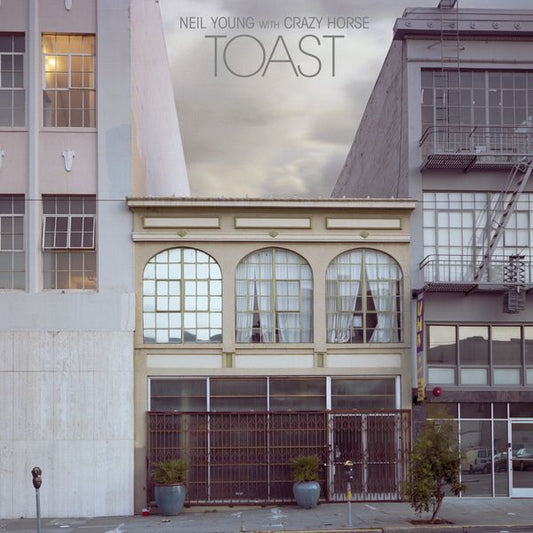 Neil Young & Crazy Horse - Toast album cover