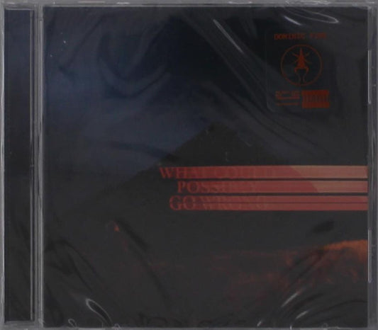 Dominic Fike “What Could Possibly Go Wrong” CD cover art