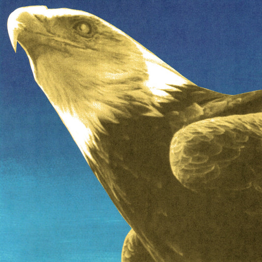Protomartyr - Hotel Usona LP cover art