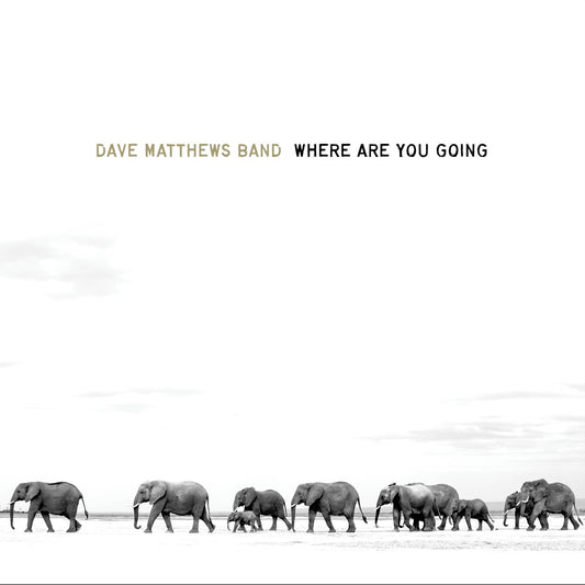 Dave Matthews Band Where Are You Going: The Singles album cover