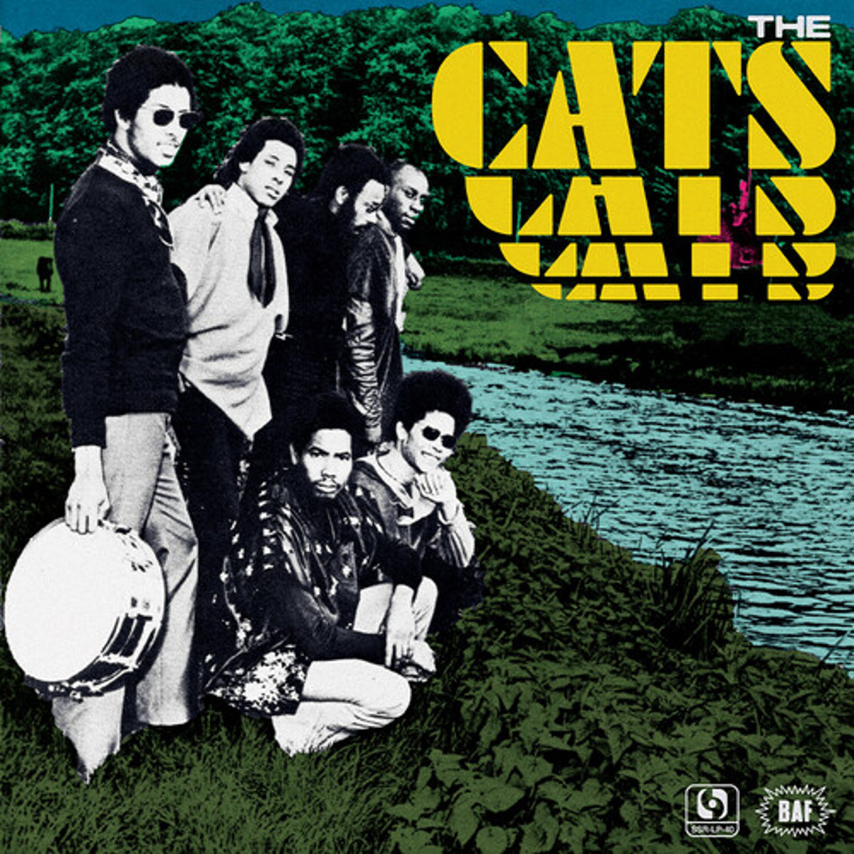 The Cats "S/T" LP cover art