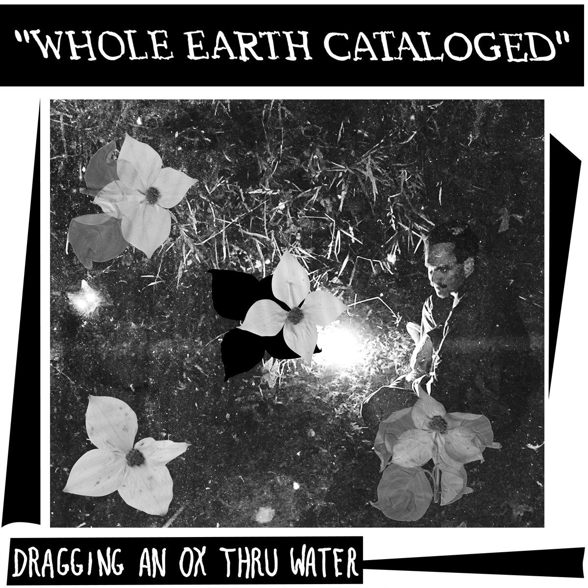 Dragging an Ox Through Water "Whole Earth Catalogued" LP