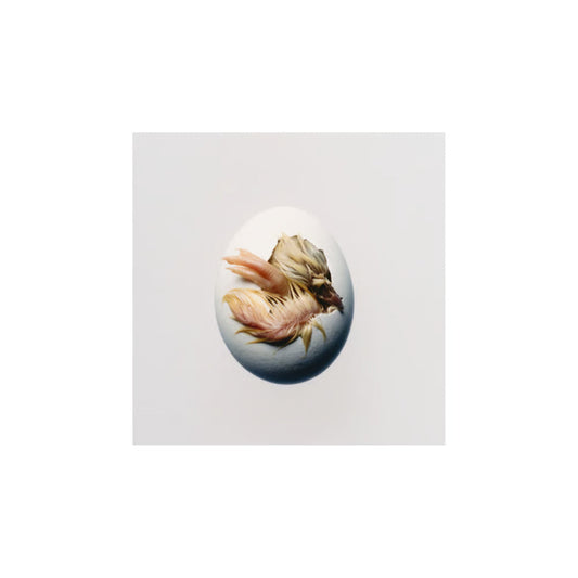 Shygirl "SWALLOW!" CD cover art