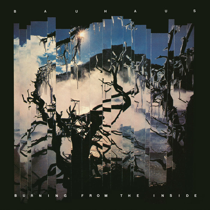 Bauhaus Burning from the Inside album cover