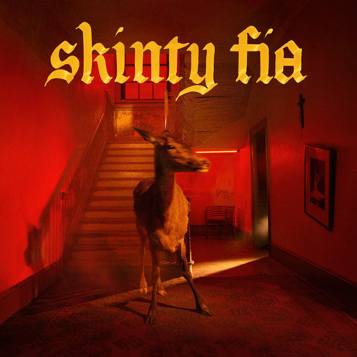 Fontaines D.C. - Skinty Fia cover art