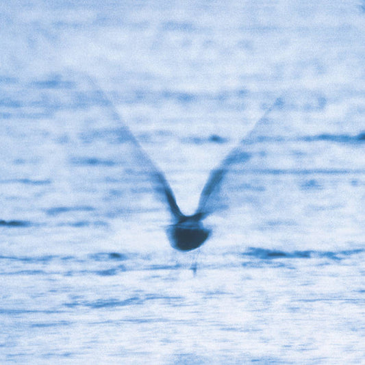 Ryo Fukui "Mellow Dream" LP album cover