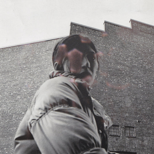 Aldous Harding "Warm Chris" LP