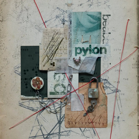 beabadoobee - Pylon LP cover art