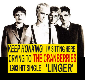 Cranberries - Sticker