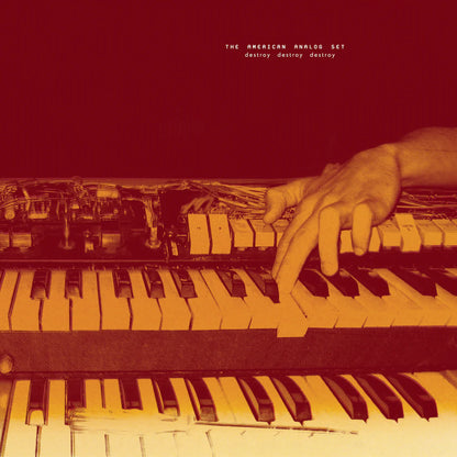 American Analog Set "Destroy Destroy Destroy" 6xLP