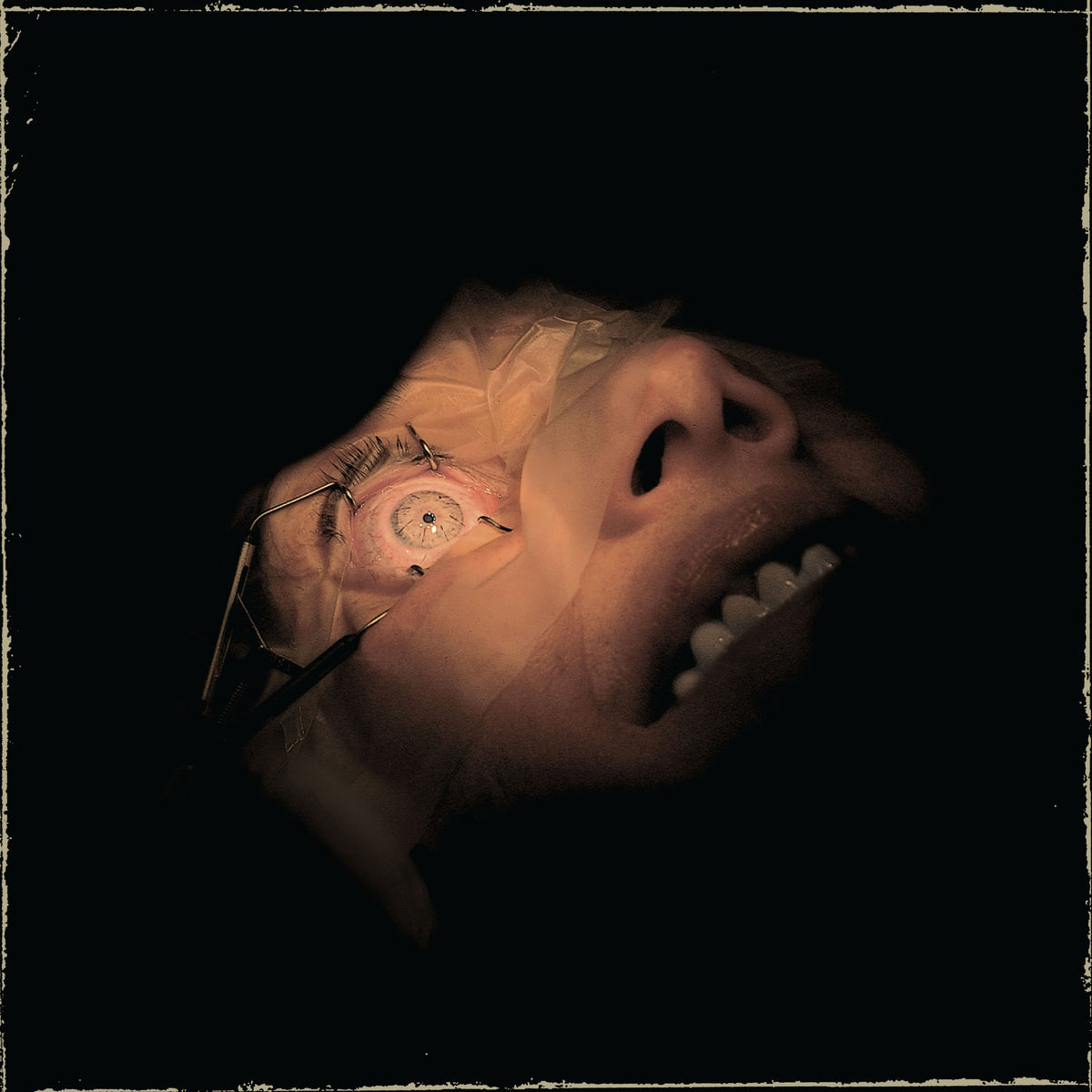 Exhumed - Anatomy Is Destiny album cover