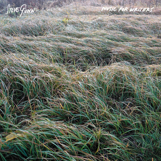 Steve Gunn "Music for Writers" LP