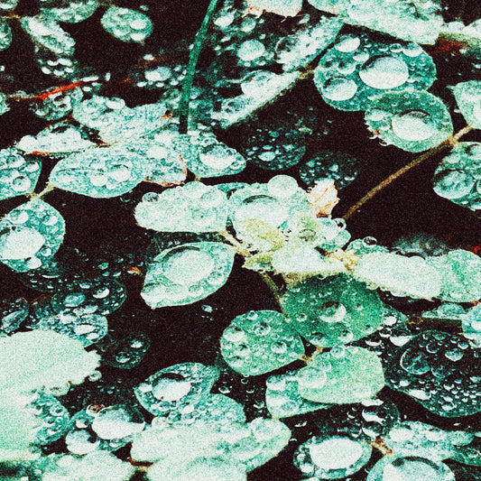 Sadness "Rain Chamber" LP