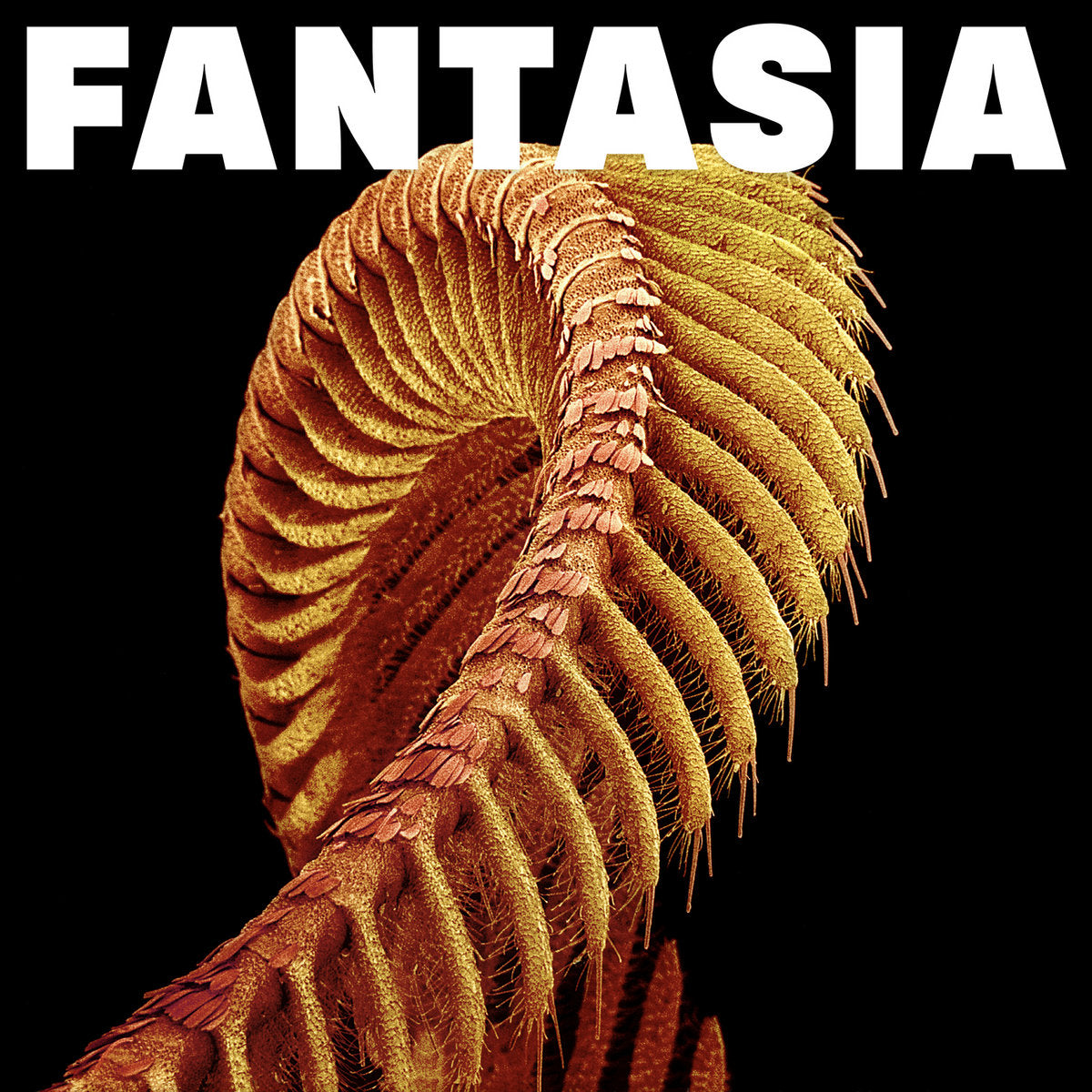 Slift "Fantasia" 2xLP