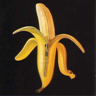 Dandy Warhols "Welcome to the Monkey House" LP