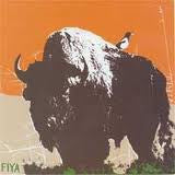 Fiya "Make Joy, Make Strength" CD - Dead Tank Records