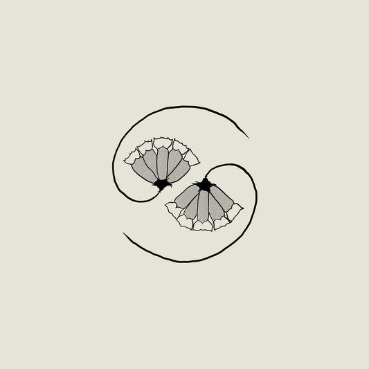 Godspeed You Black Emperor "G_d’s Pee AT STATE’S END!" 10+LP