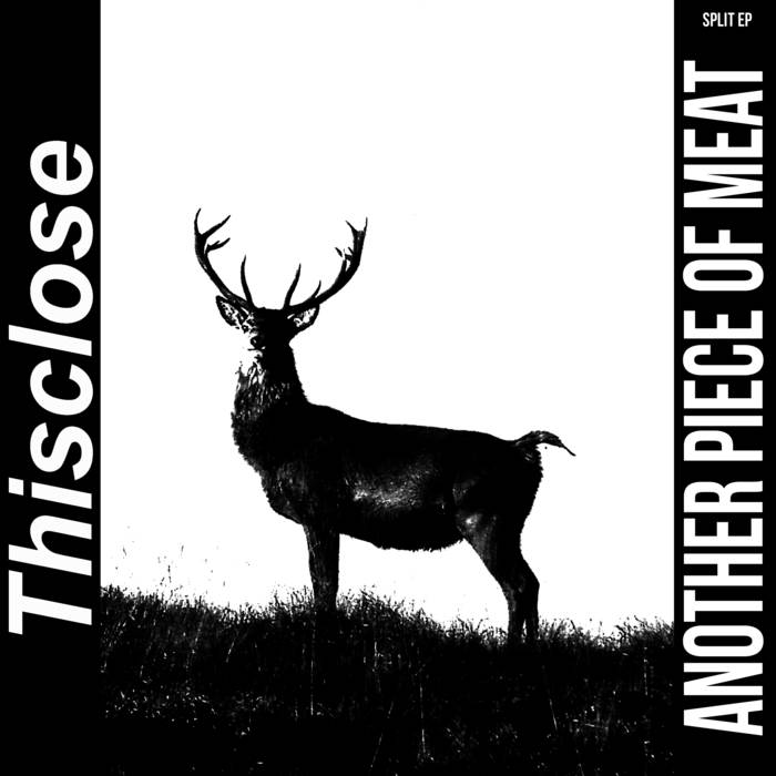 Thisclose / Sludge split 7"